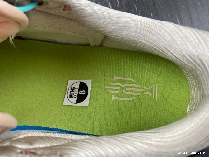 OG Air x Low Room Home Jordan FN0432-017 1 Trophy 0629